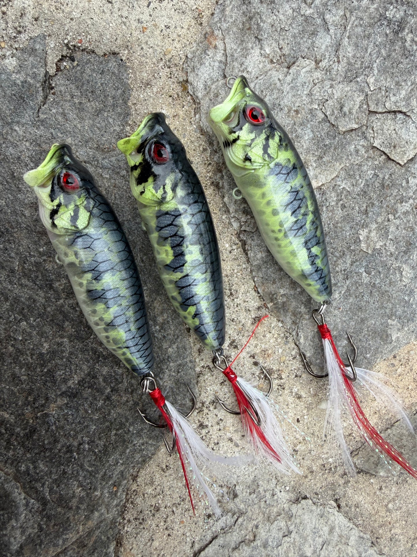 Baby Bass 3.25" Popper