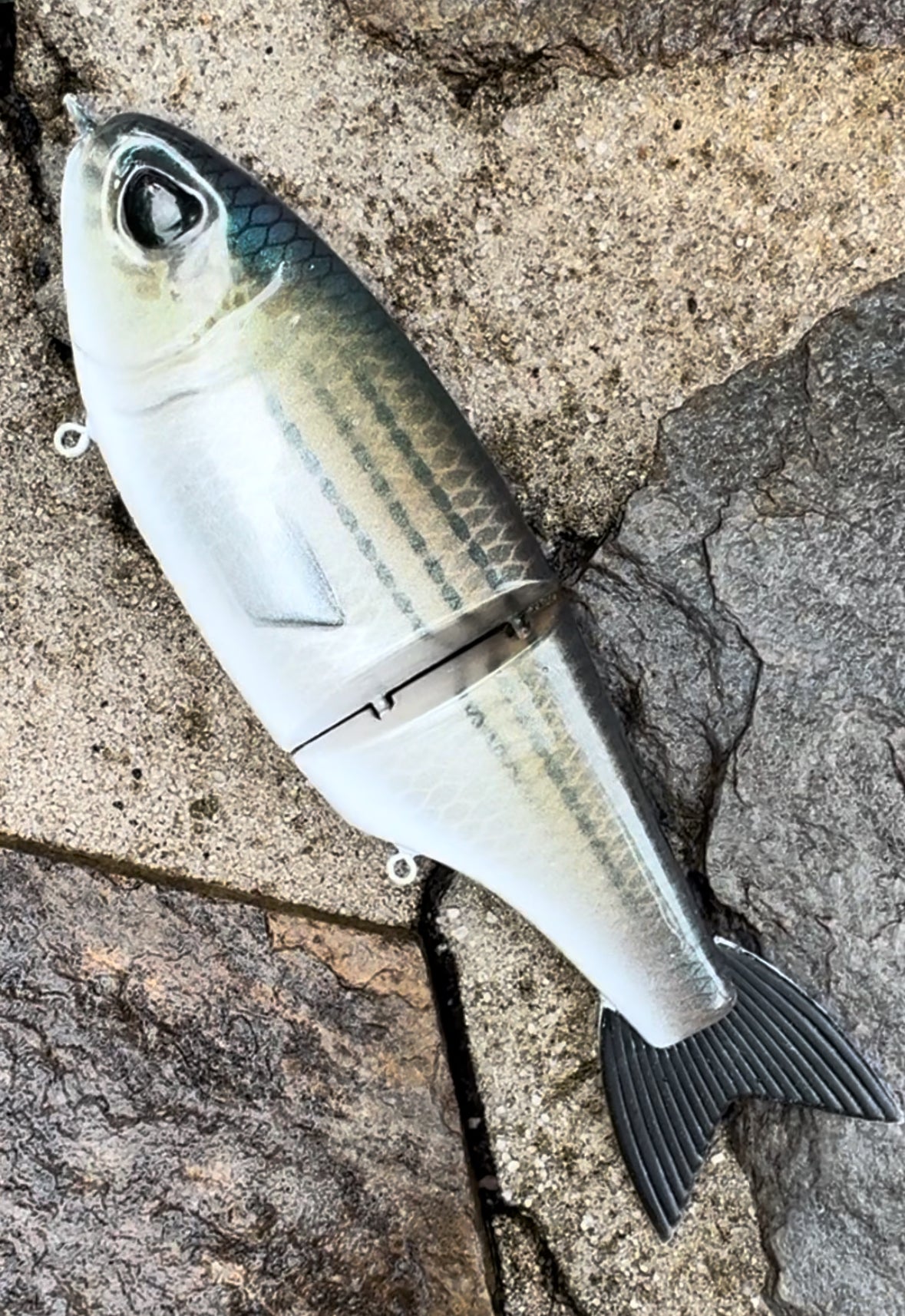 Repaint for Roche