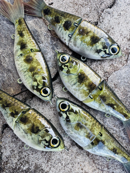 Big Mouth Bass 5β ABS Swim Shad 3/5oz.