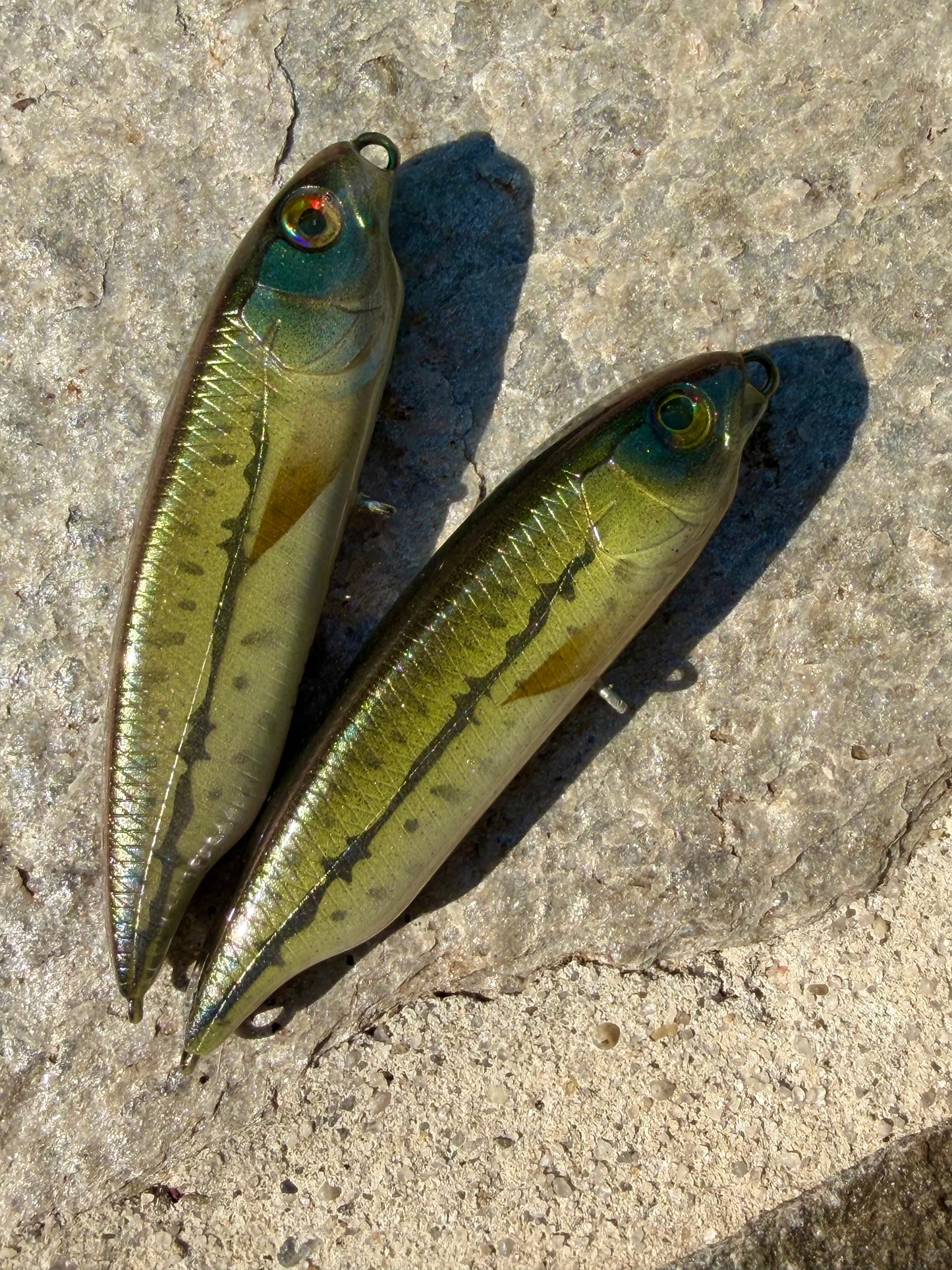 Green Minnow