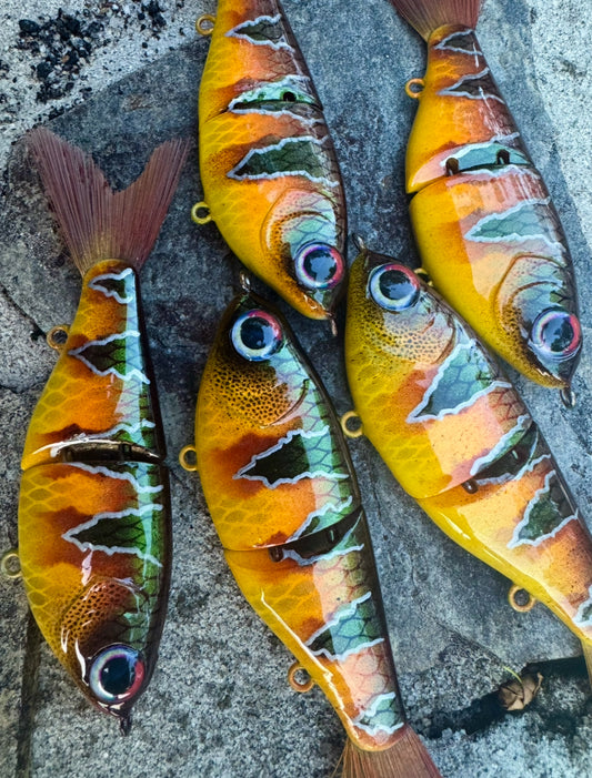 Mayan Cichlid - 5β ABS Swim Shad 3/5oz. dropping 9/26 @ 10am EST