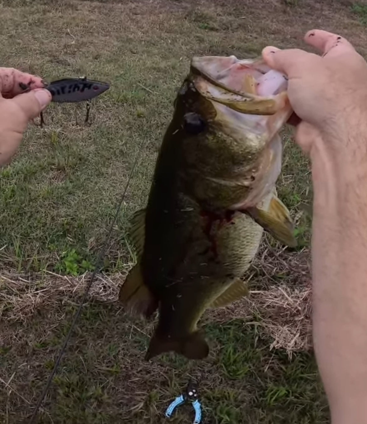 Customizable Bass Fishing Gift Box (directions below)