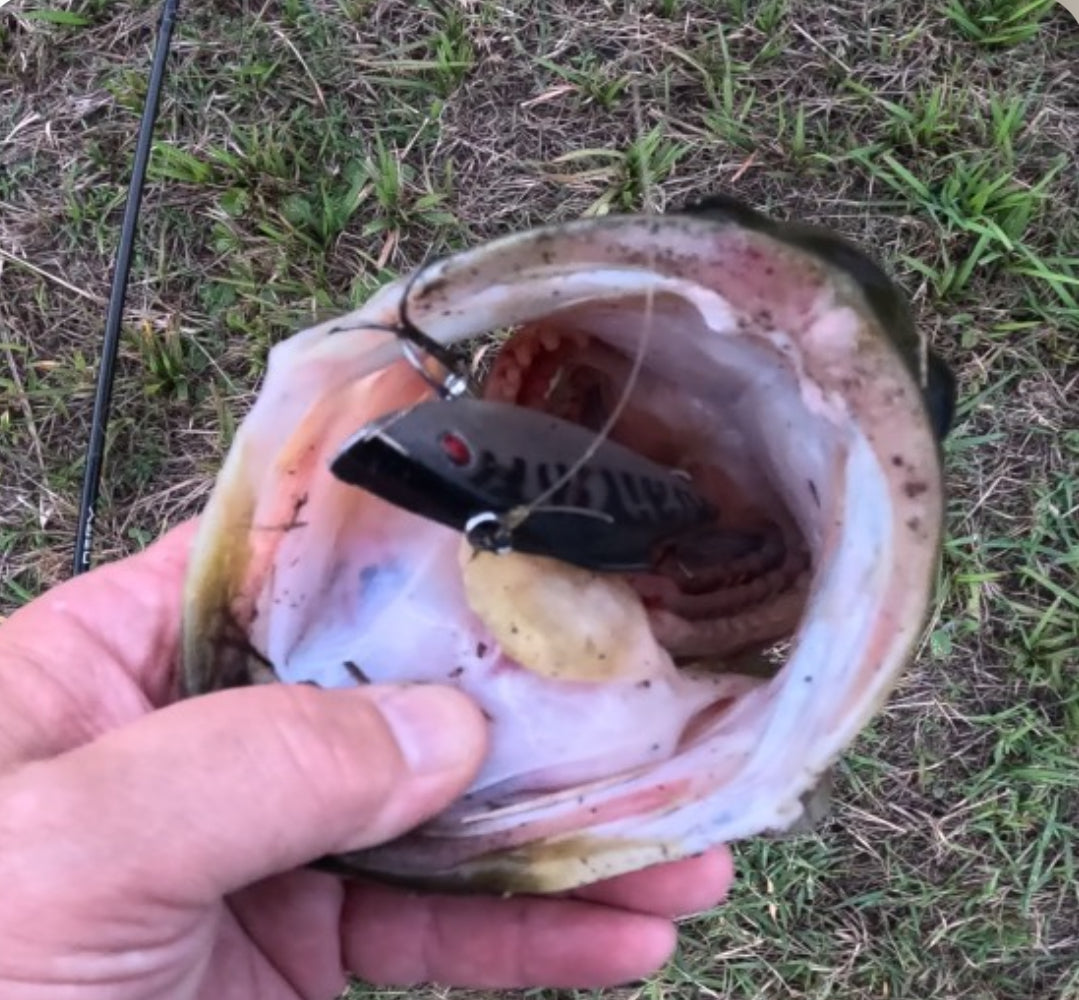 Customizable Bass Fishing Gift Box (directions below)