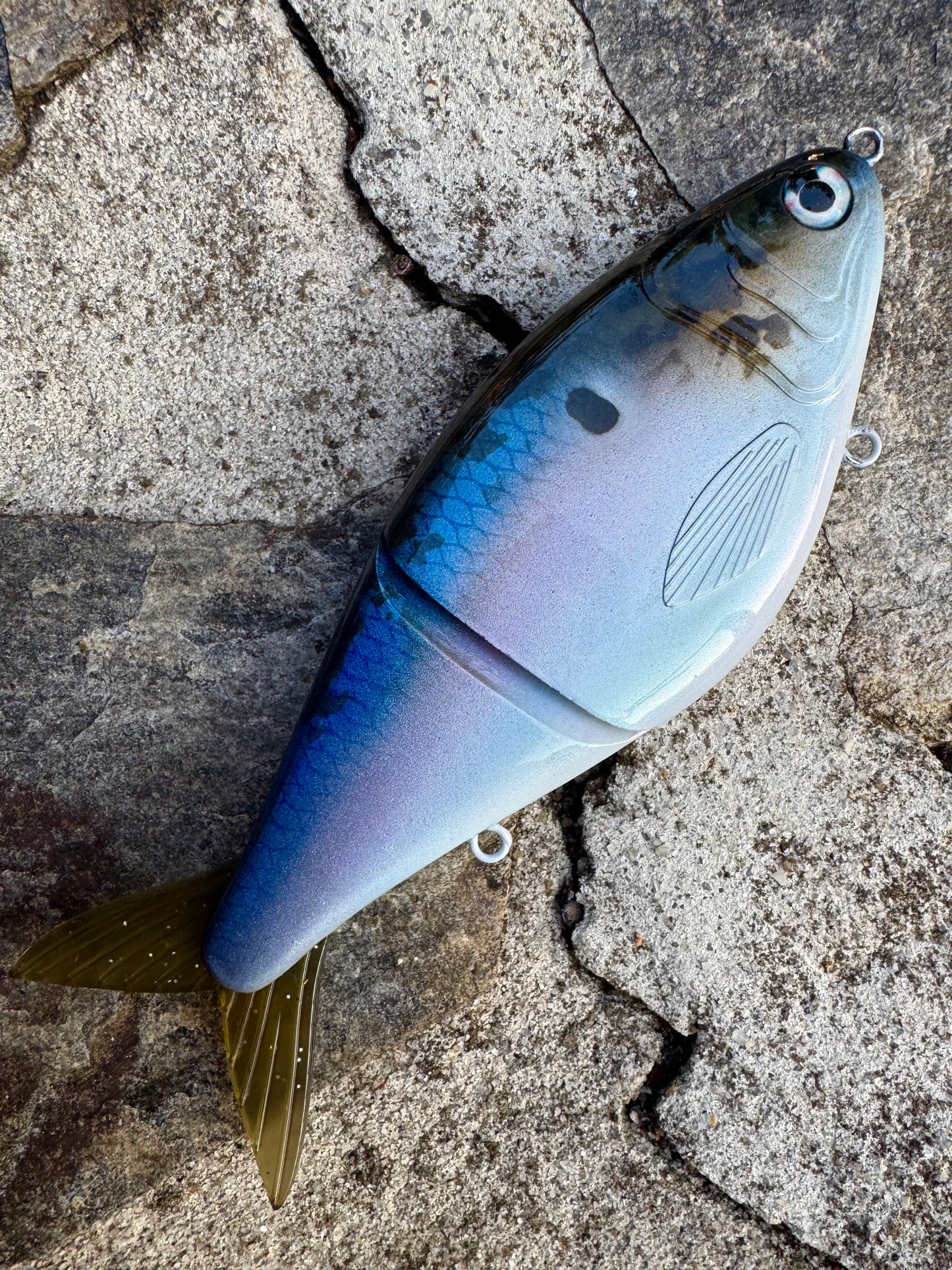 Blue Back Herring Glide