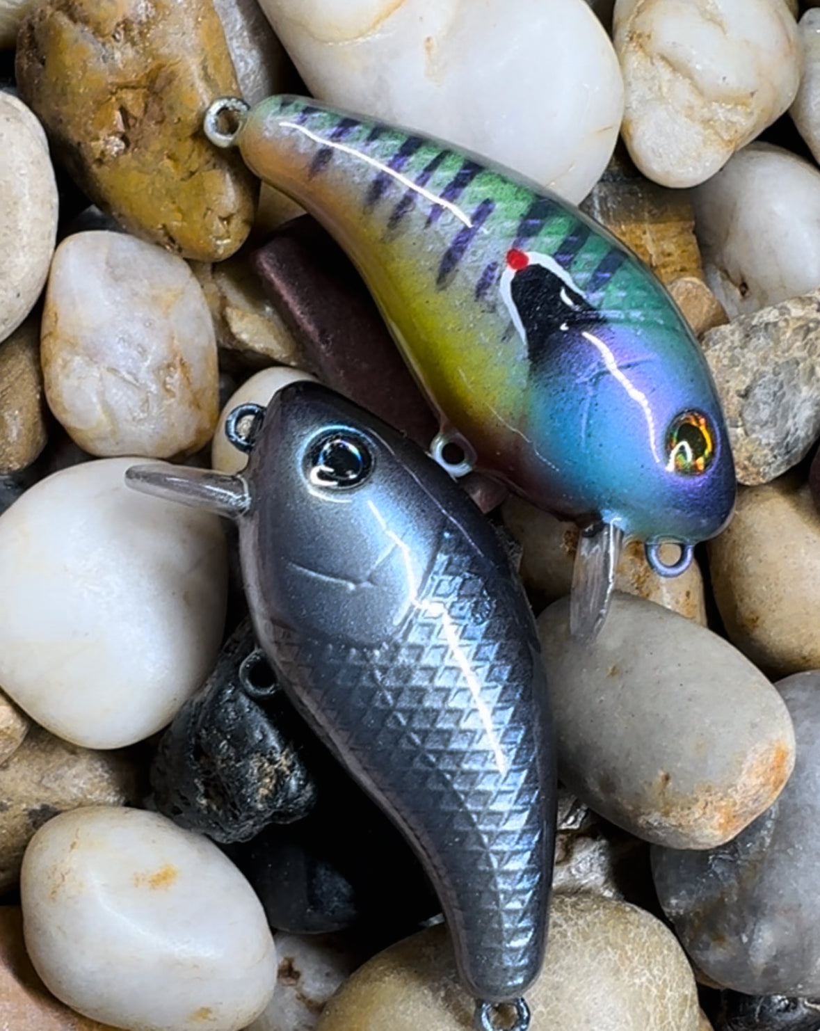Custom paint Tebo