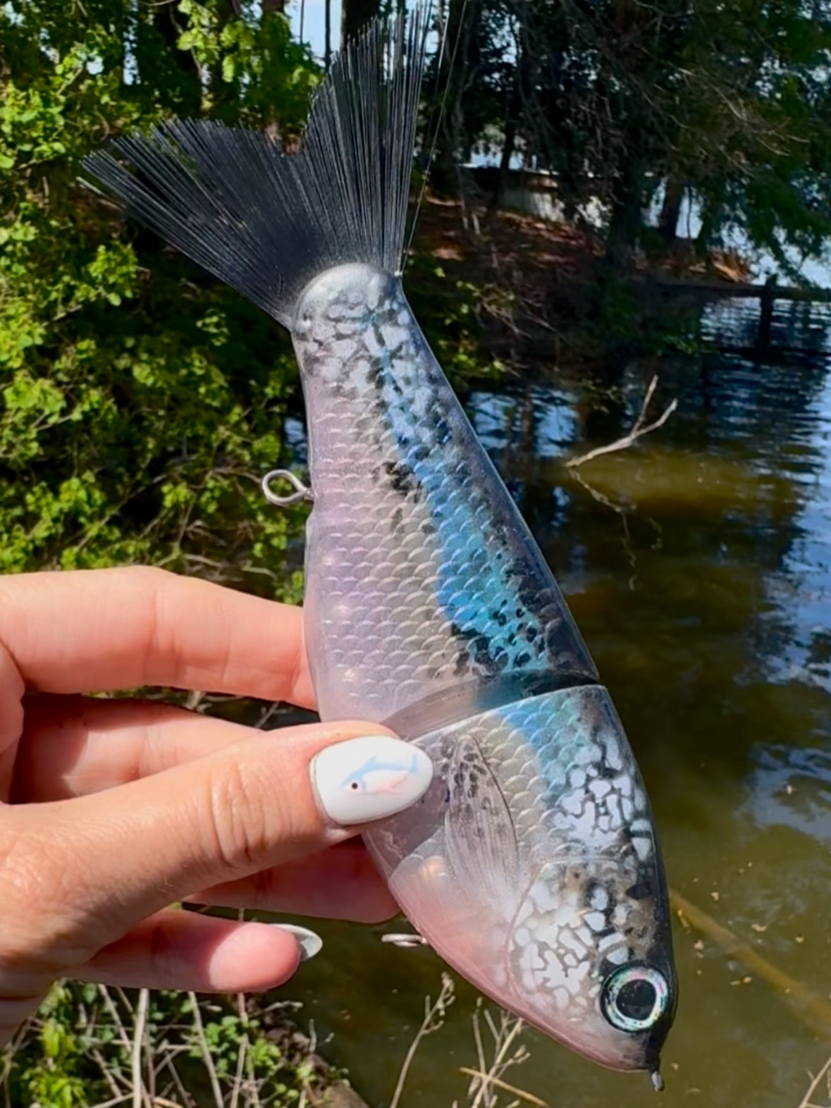 Translucent Blue Back Herring 7 inch glider