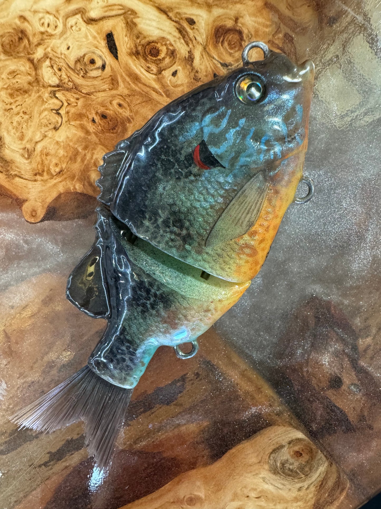 Red Eared Sunfish