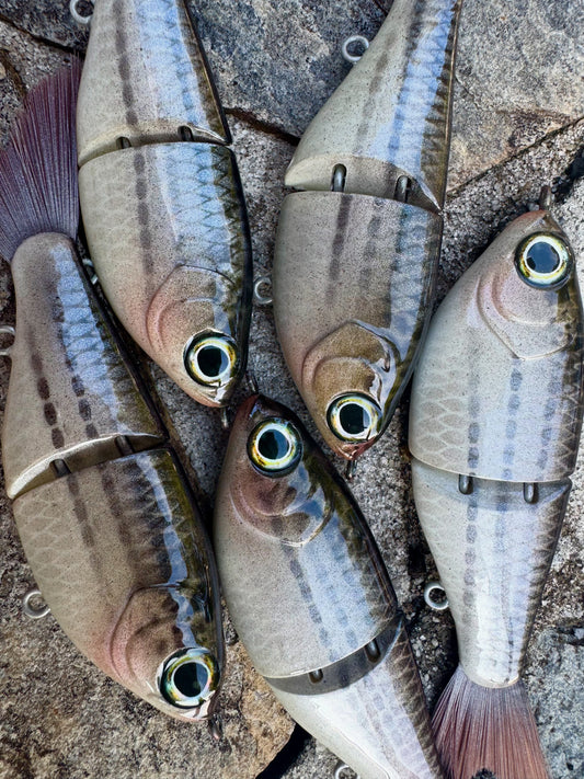 Mullet - 5β ABS Swim Shad 3/5oz.