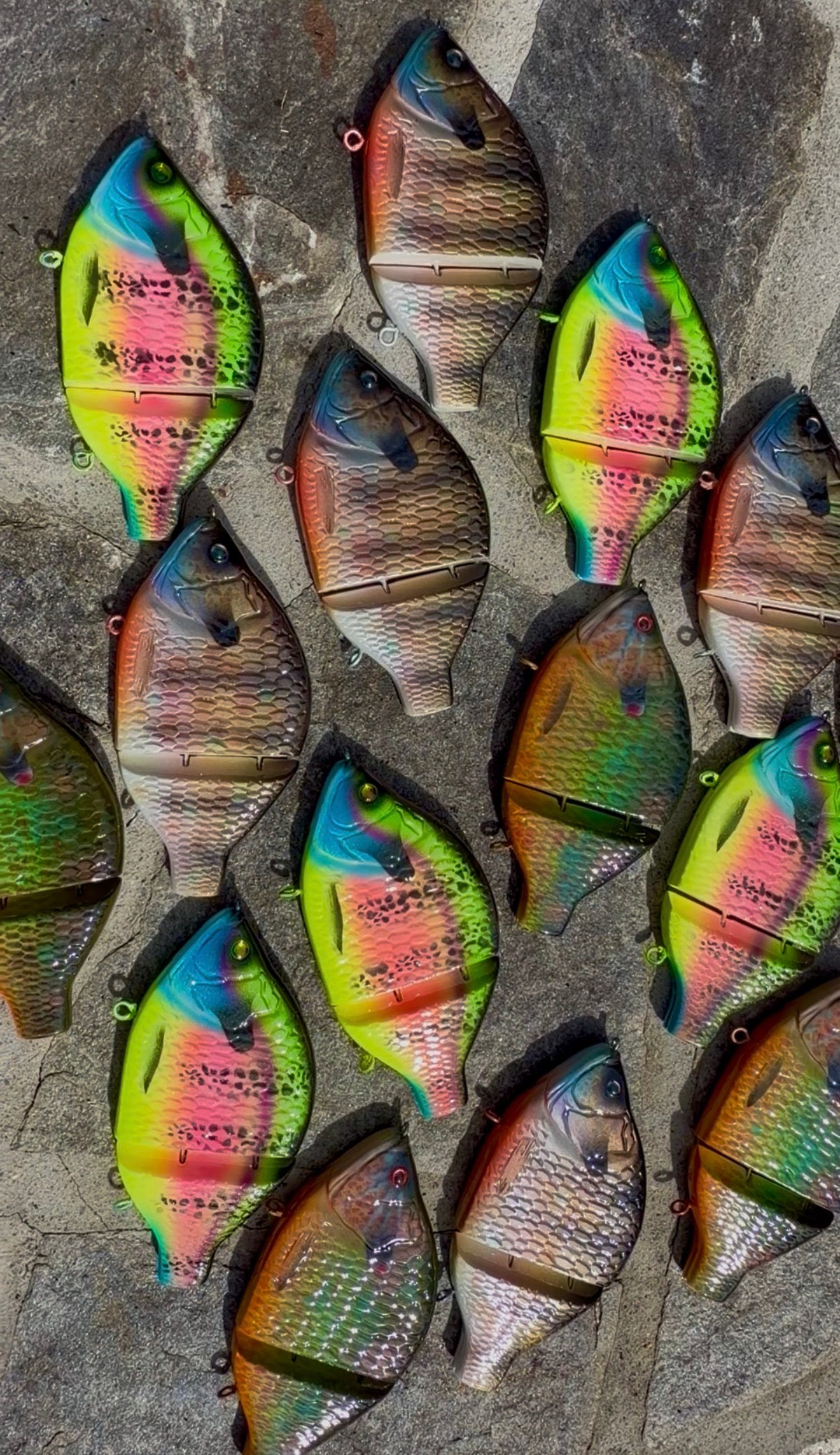 Out4fish
