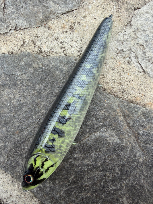 Baby Bass 6.5’ Top Water Walker