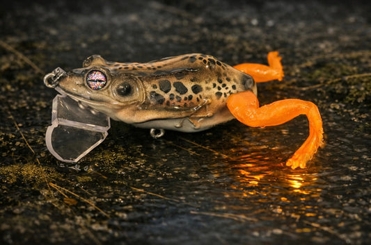 Lure Lady x Lazy Baits Co. Swamp Stalker Frog - Mr. Bumpy - Resin Jitter Frog with 2 sets of glow in the dark legs - 1.5 oz.