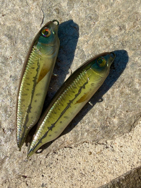 Green Minnow