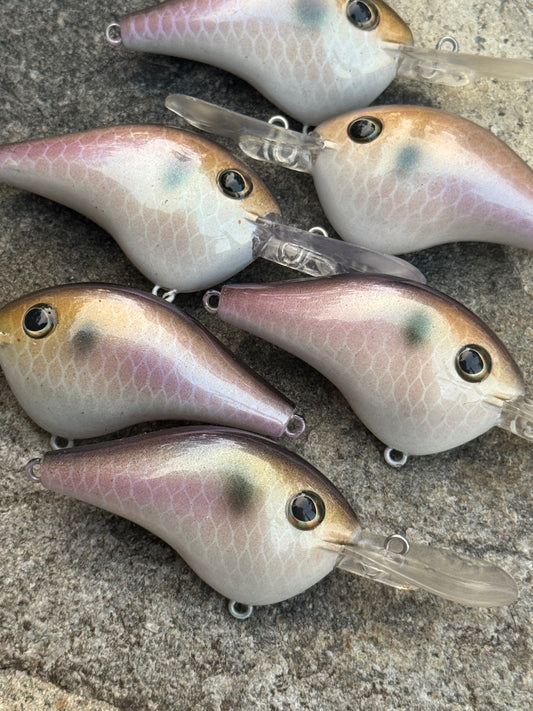 Champagne Shad - 2-1/4"	3/5oz	10ft