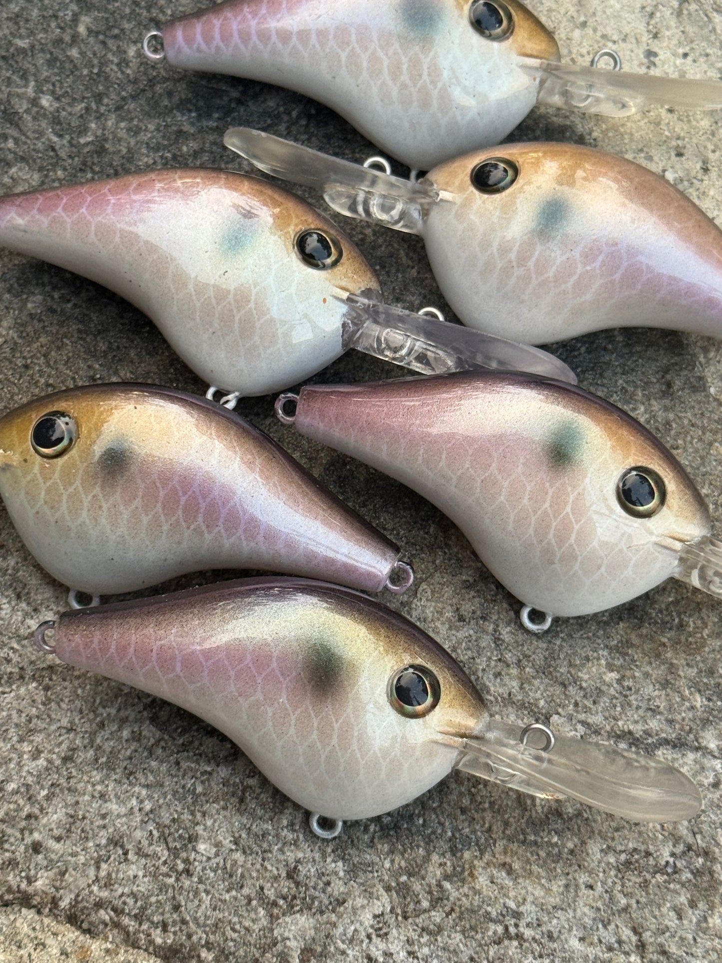 Champagne Shad - 2-1/4"	3/5oz	10ft