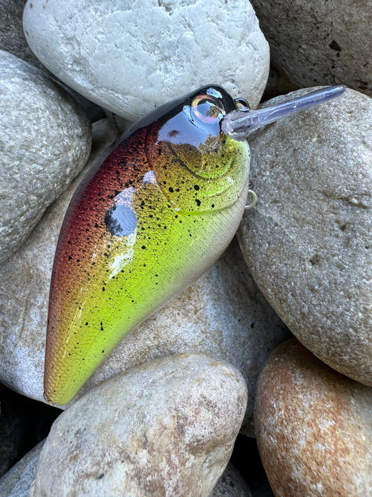 Speckled Shiner