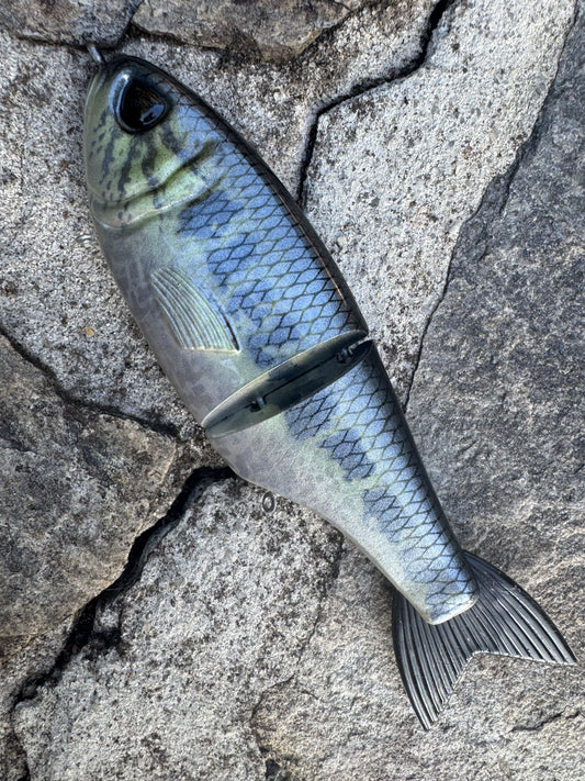 Swimbait Family Repaint