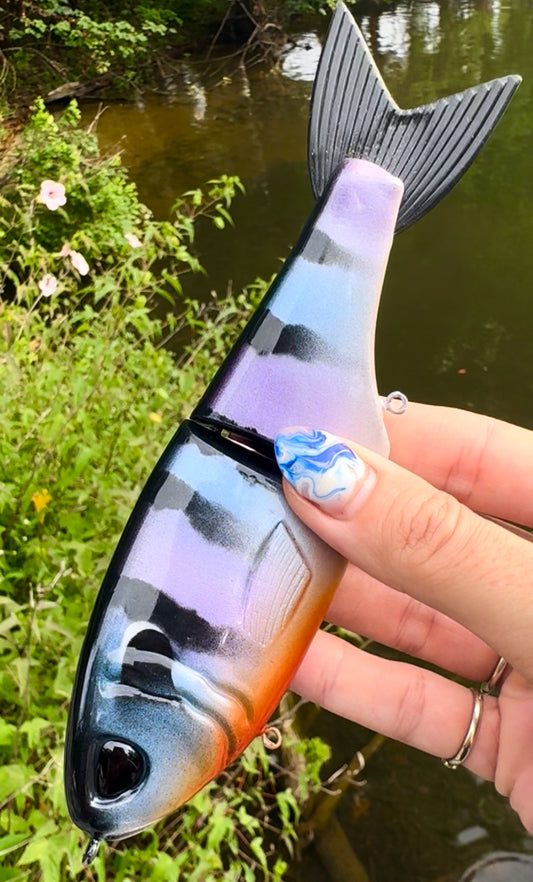 Georgia Bassmaster Repaint