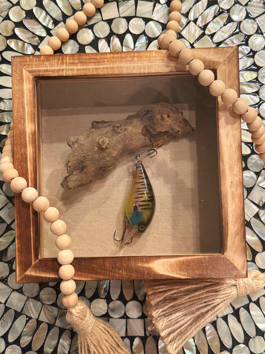 Drift wood & Lure Shadow Box