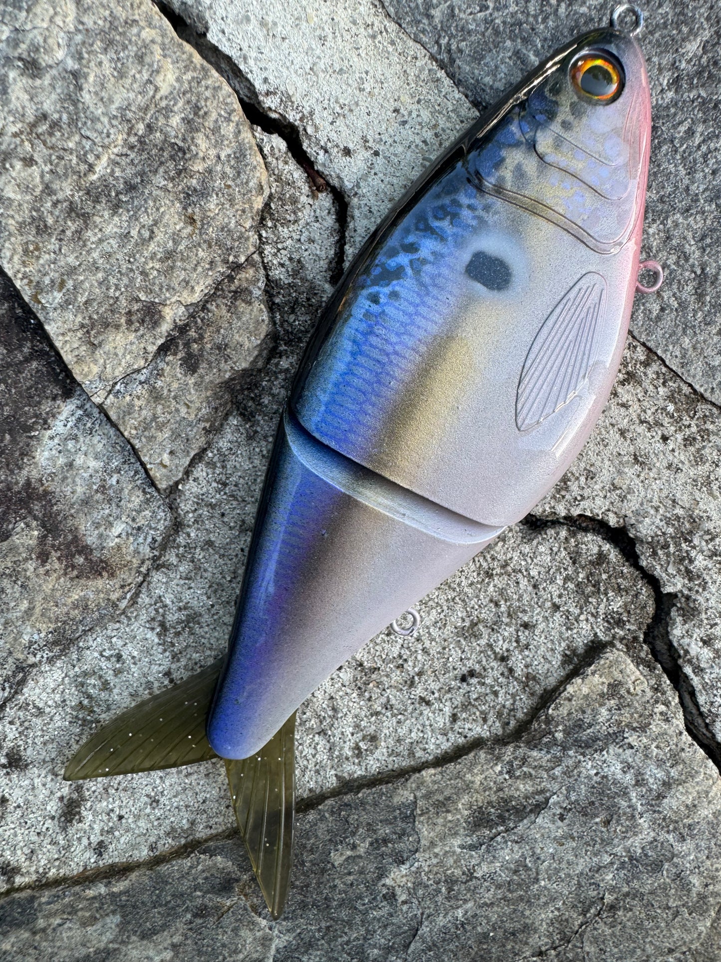 Blue Back Herrg 7 inch glide bait