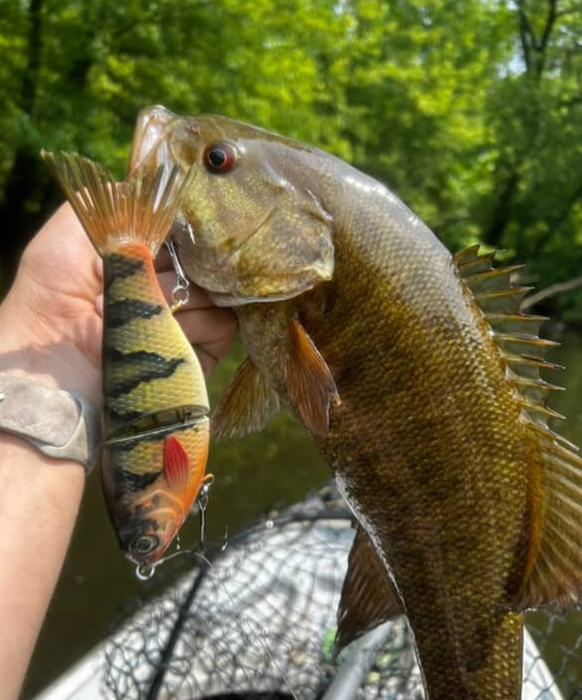 Ethan Perch & Gizzard