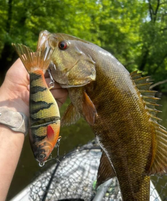 Ethan Perch & Gizzard