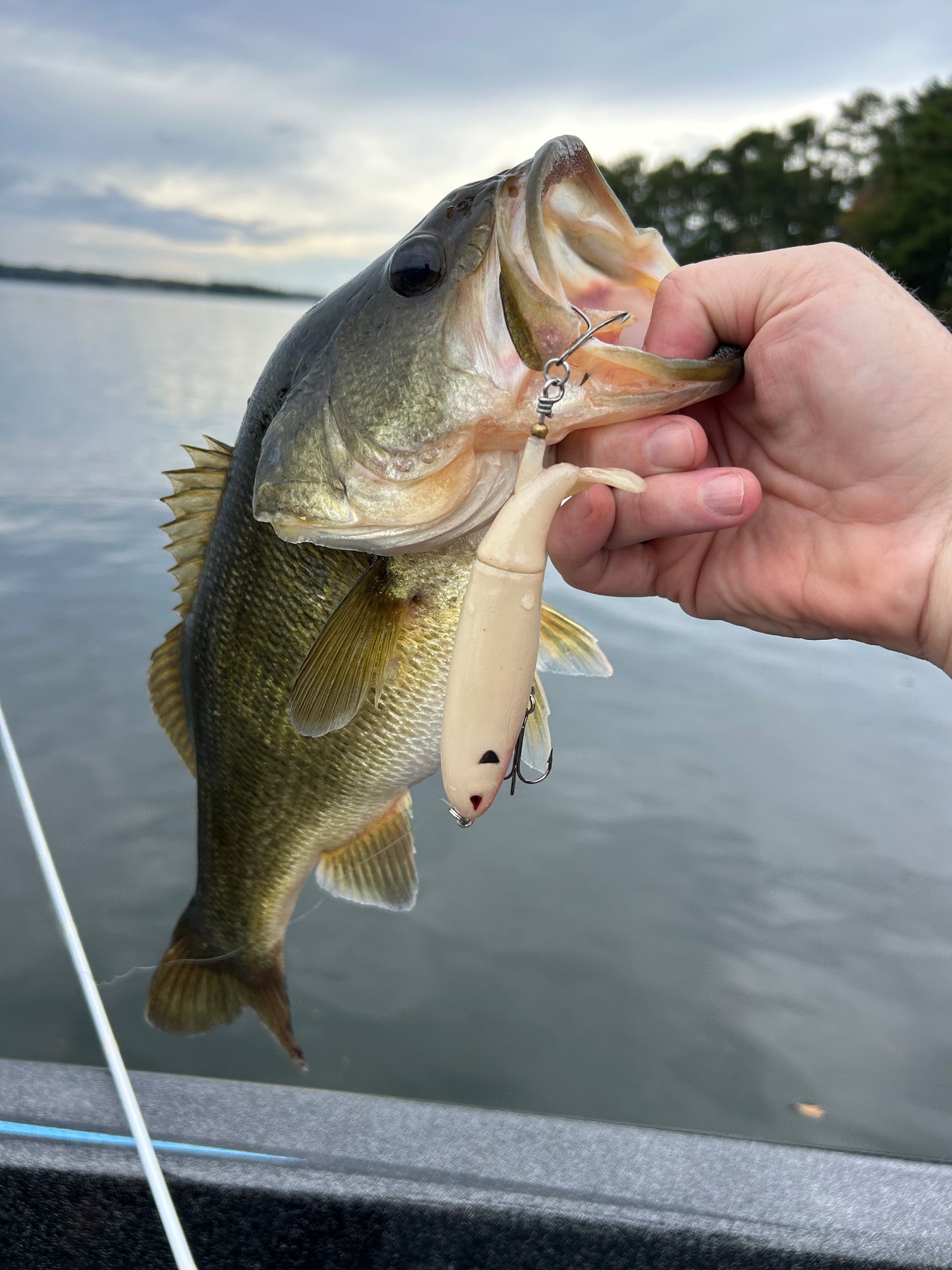 Bad to the Bone Plopper