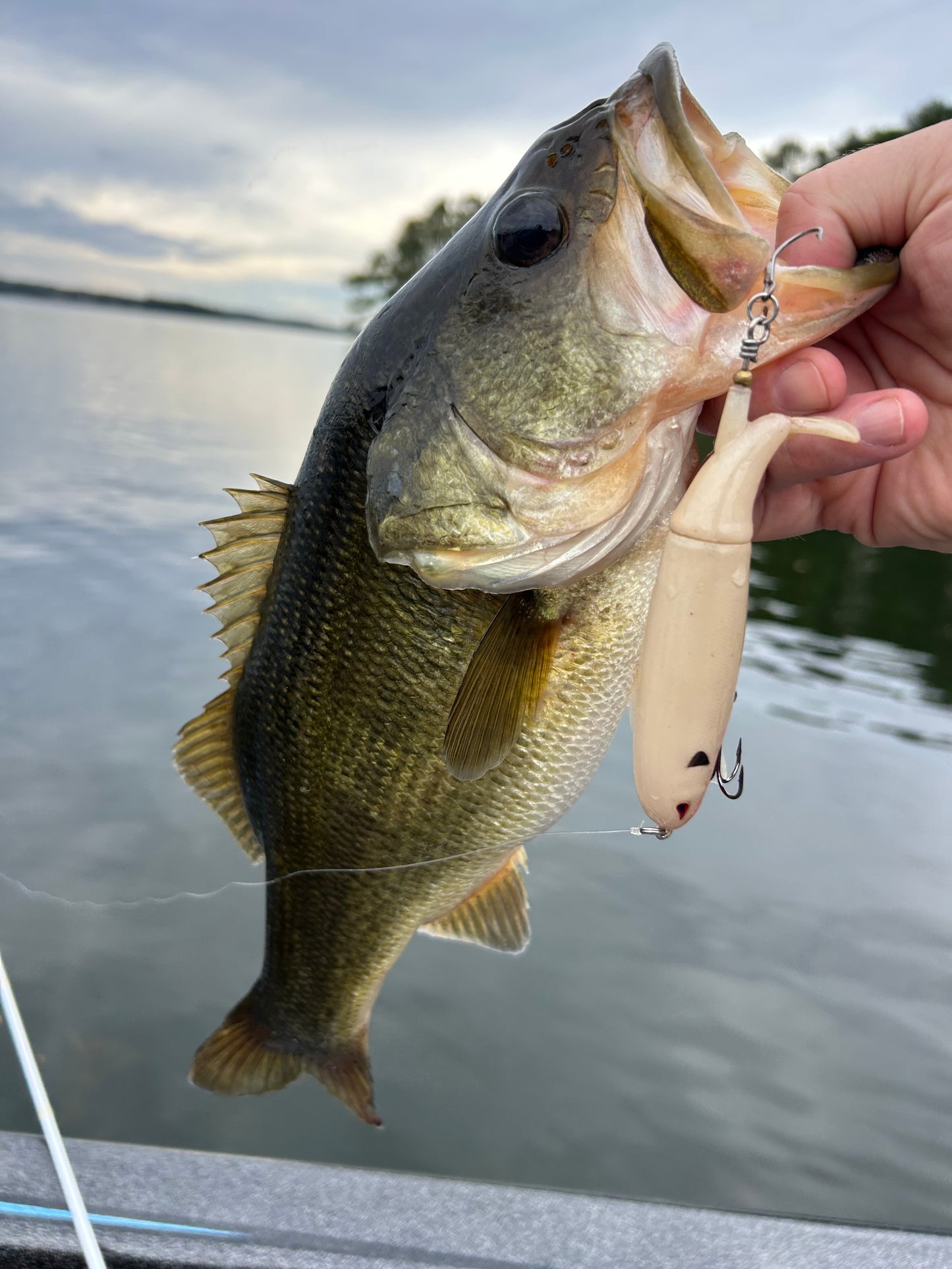 Bad to the Bone Plopper