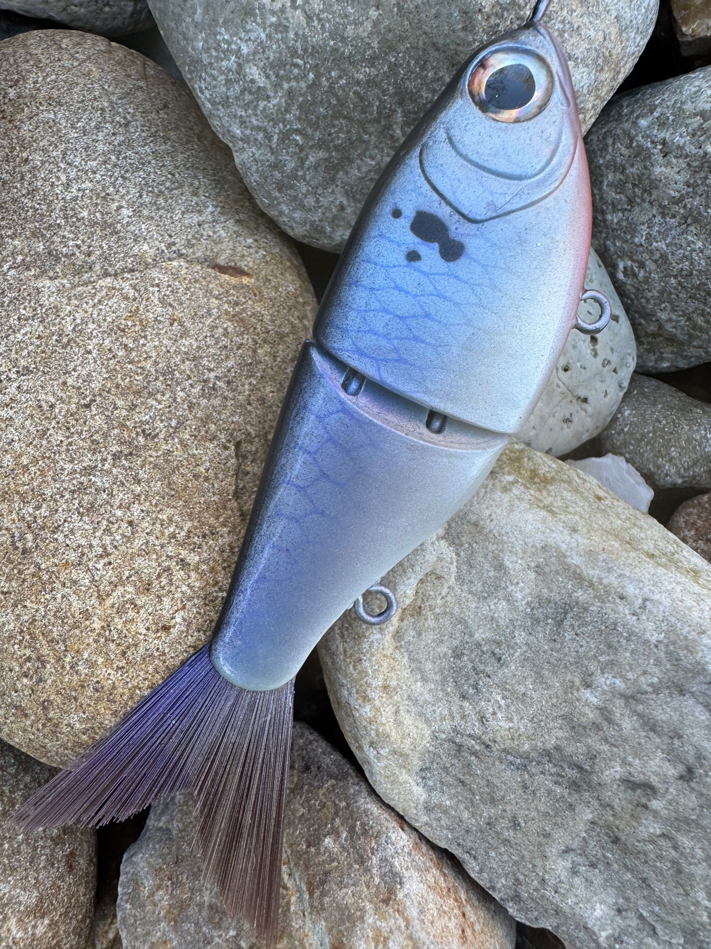 Blue Back Herring 5 inch Swim Shad