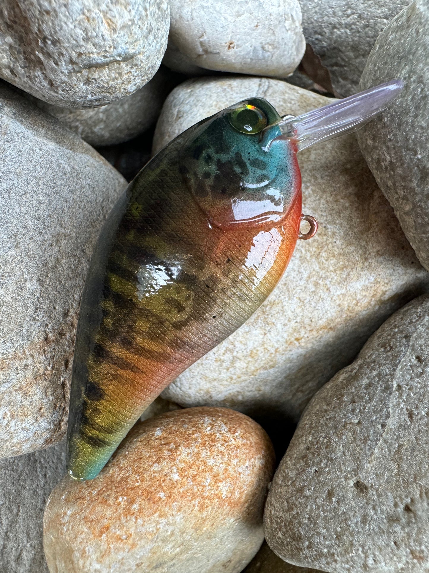 Translucent Bluegill