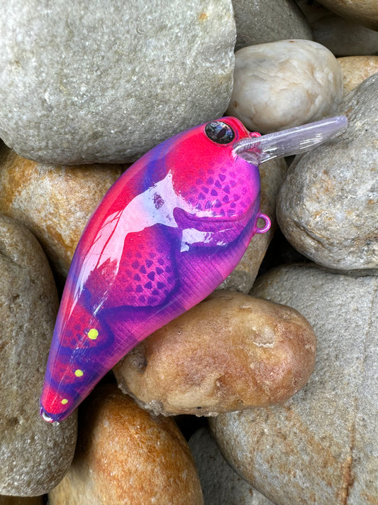 Pink Hot Craw